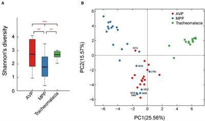 Lung Microbiota and Pulmonary Inflammatory Cytokines Expression Vary in Children With Tracheomalacia and Adenoviral or Mycoplasma pneumoniae Pneumonia